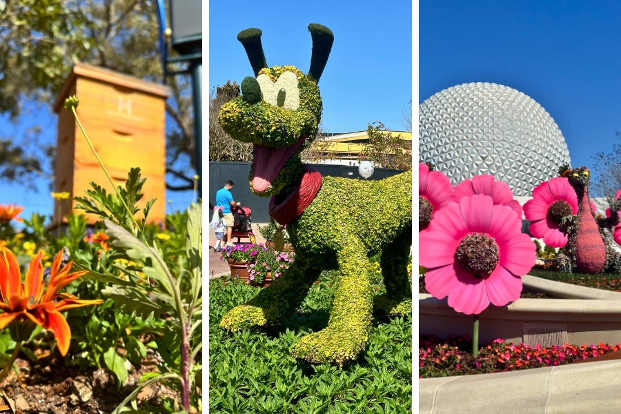 Food Guide to the EPCOT Flower and Garden Festival (2024)