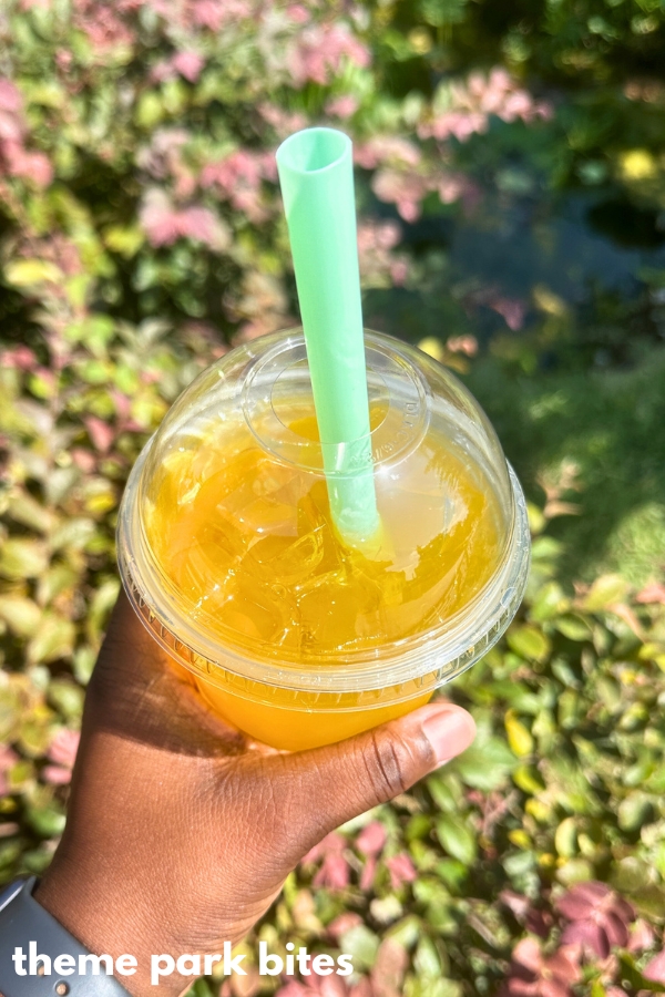 mango bubble tea flower and garden festival epcot 2024